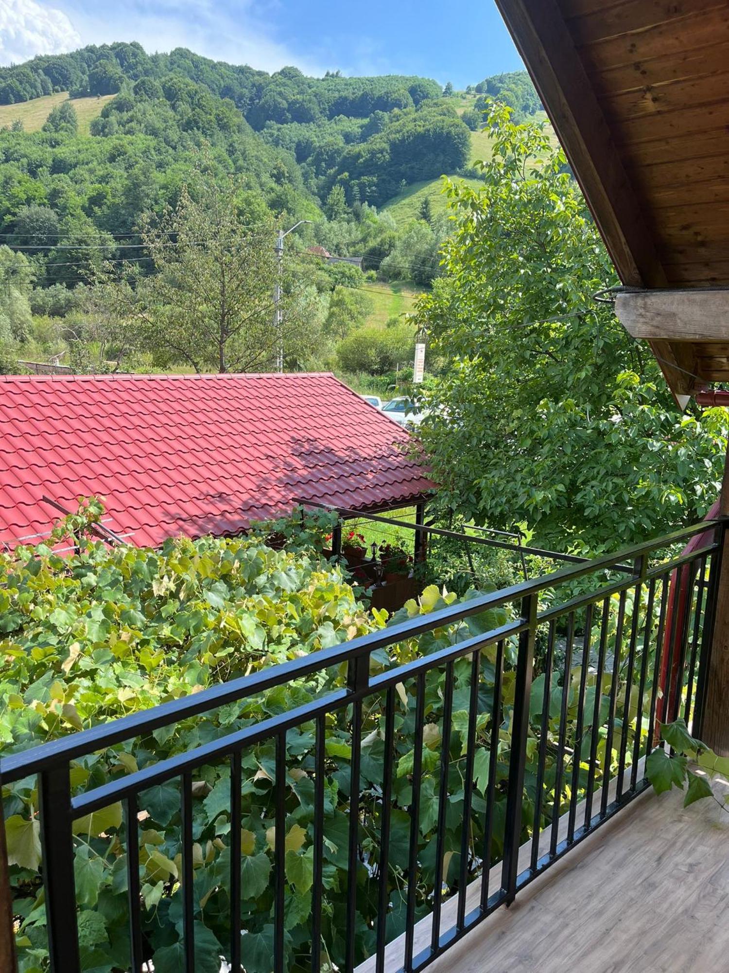 Отель Kilometru108 Leordina Экстерьер фото